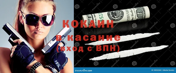 apvp Дмитриев