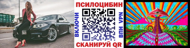 блэк спрут вход  Гаврилов Посад  Псилоцибиновые грибы прущие грибы 